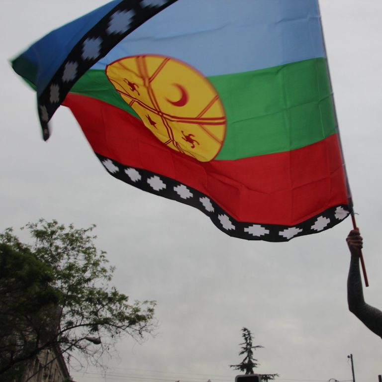 Realidade do povo Mapuche piorou sob Boric, afirma Héctor Llaitul mais confronto e violência