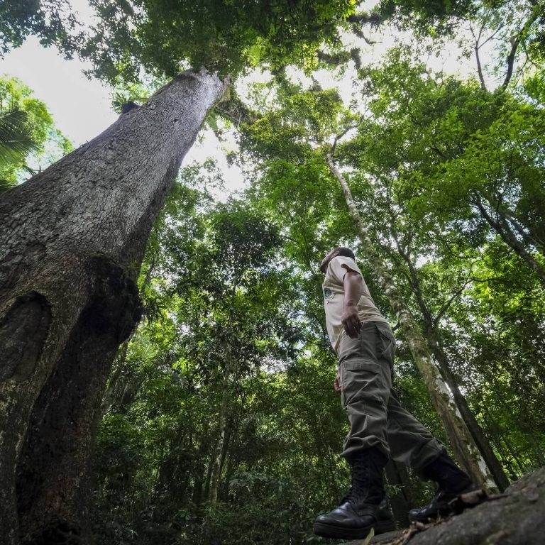 Frei Betto Por uma ecologia política, ética e que supere a lógica do lucro