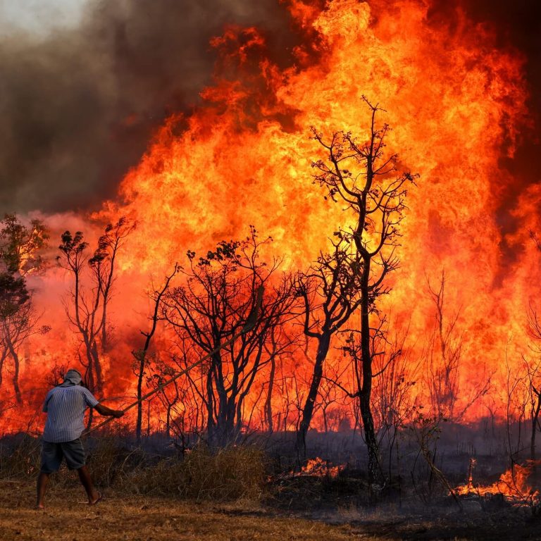 Guterres pior calor da história em 2024 exige ação inédita em 2025; ainda temos tempo!