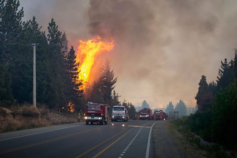 Incêndios já destruíram mais de 24 mil hectares na Argentina; cortes de Milei agravam destruição